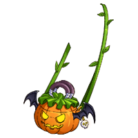 Jack O’Carry
